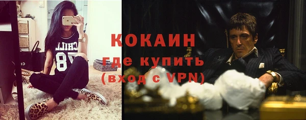 дурь Арсеньев