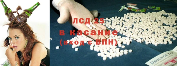 ПСИЛОЦИБИНОВЫЕ ГРИБЫ Аркадак