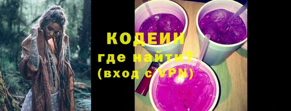 дурь Арсеньев