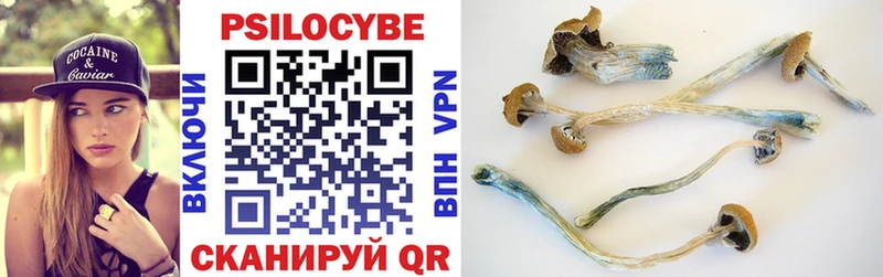 как найти   Острогожск  Псилоцибиновые грибы Magic Shrooms 